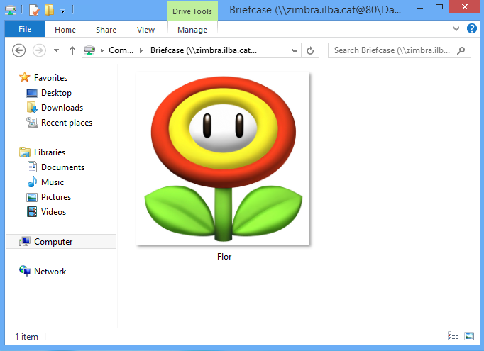 zimbra-windows8-009