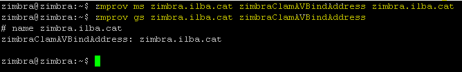 zimbra-antivirusout-002