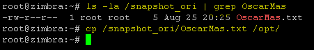 zimbra-ceph-snapshots-007