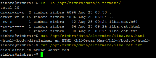 zimbra-disclaimer-dominio-005