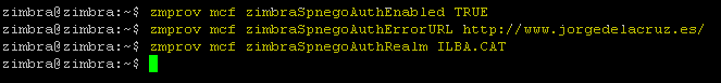 zimbra-spnego-sso-014