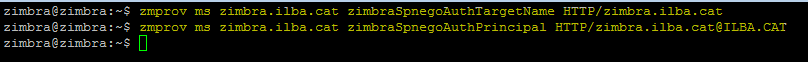 zimbra-spnego-sso-016