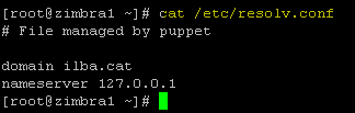 zimbra-puppet-3-009