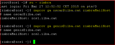 zimbra-segundoldap-003