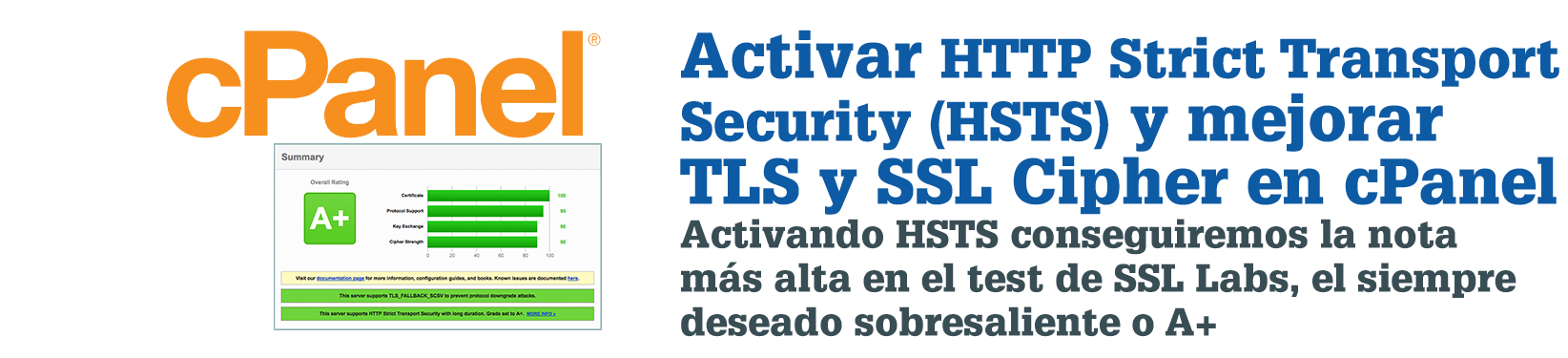 cpanel-ssllabs-010