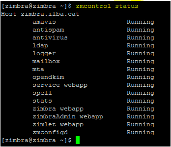 zimbra-rename-007