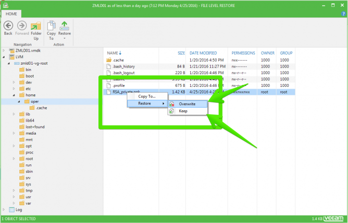 veeam-linux-012