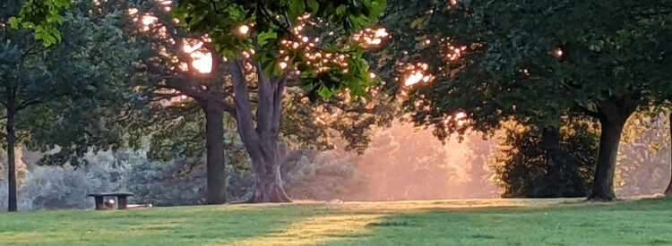 Fotografía tomada una tarde cualquiera de Septiembre